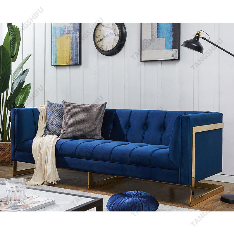 TSF-5507-3-Navy Gold-WI8866 Living room furniture